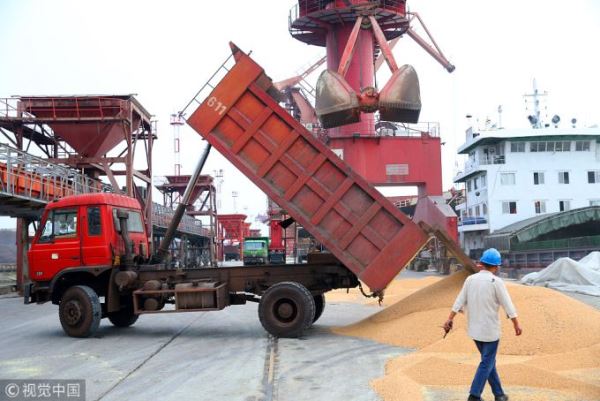Workers are unloading Brazil imported soybeans at Jiangsu Nantong port wharf on August 21, 2018.[File photo:VCG]