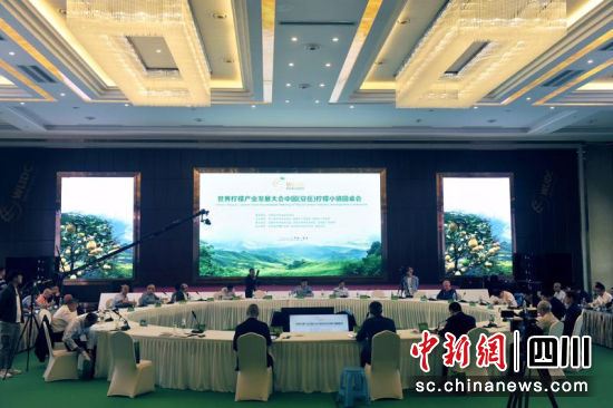 首届世界柠檬产业发展大会——中国柠檬小镇圆桌会现场。王磊 摄