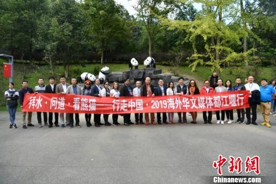 海外华媒走进中国大熊猫保护研究中心都江堰基地。　张浪 摄