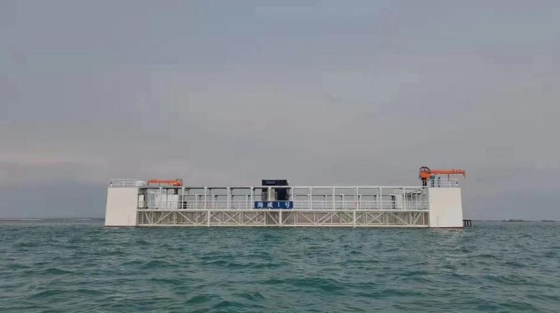 【大美广东】Guangdong a construir um vasto aglomerado industrial de pastagens marinhas modernas 打造“粤海粮仓”! 